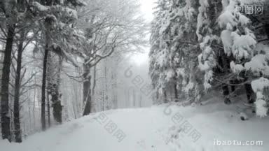 冬天，山上一条被雪覆盖的空旷道路的景色，道路两旁长满了树